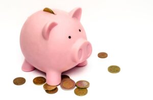raise capital with investors